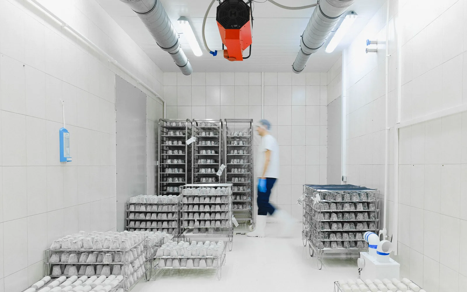 Temperature-controlled cold room in a food production facility